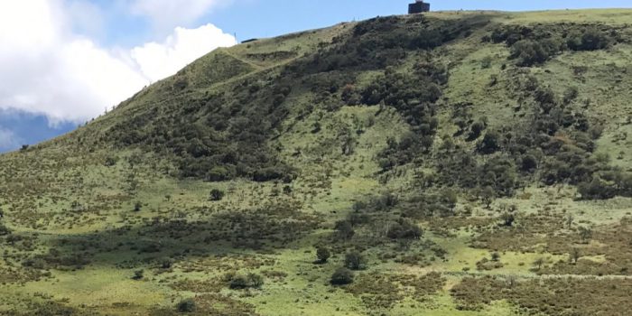 霧ヶ峰（車山）