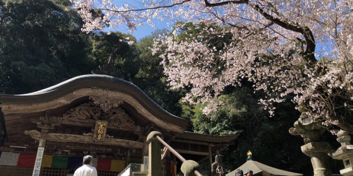 青龍寺