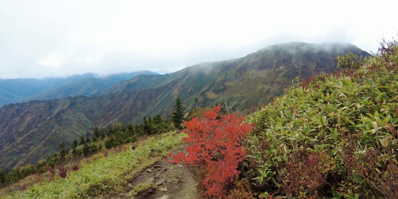 苗場山