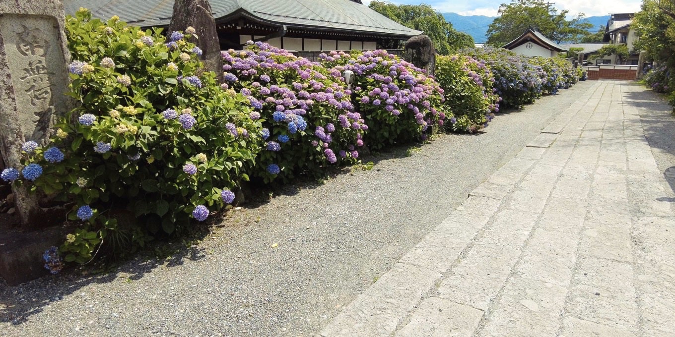 正願寺