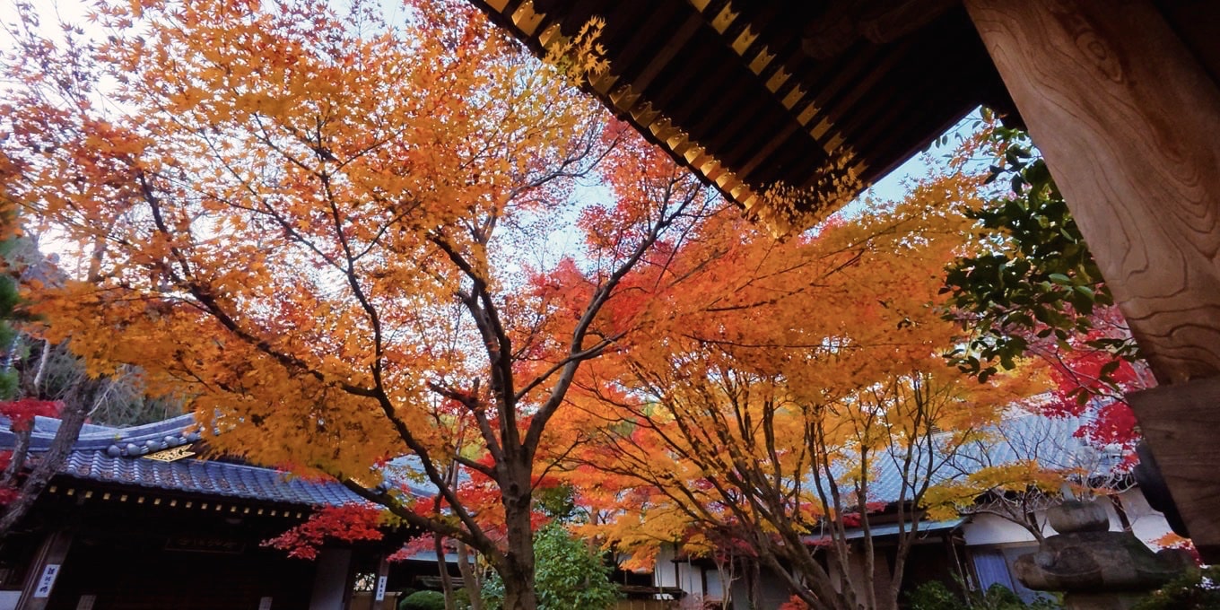 慈眼寺