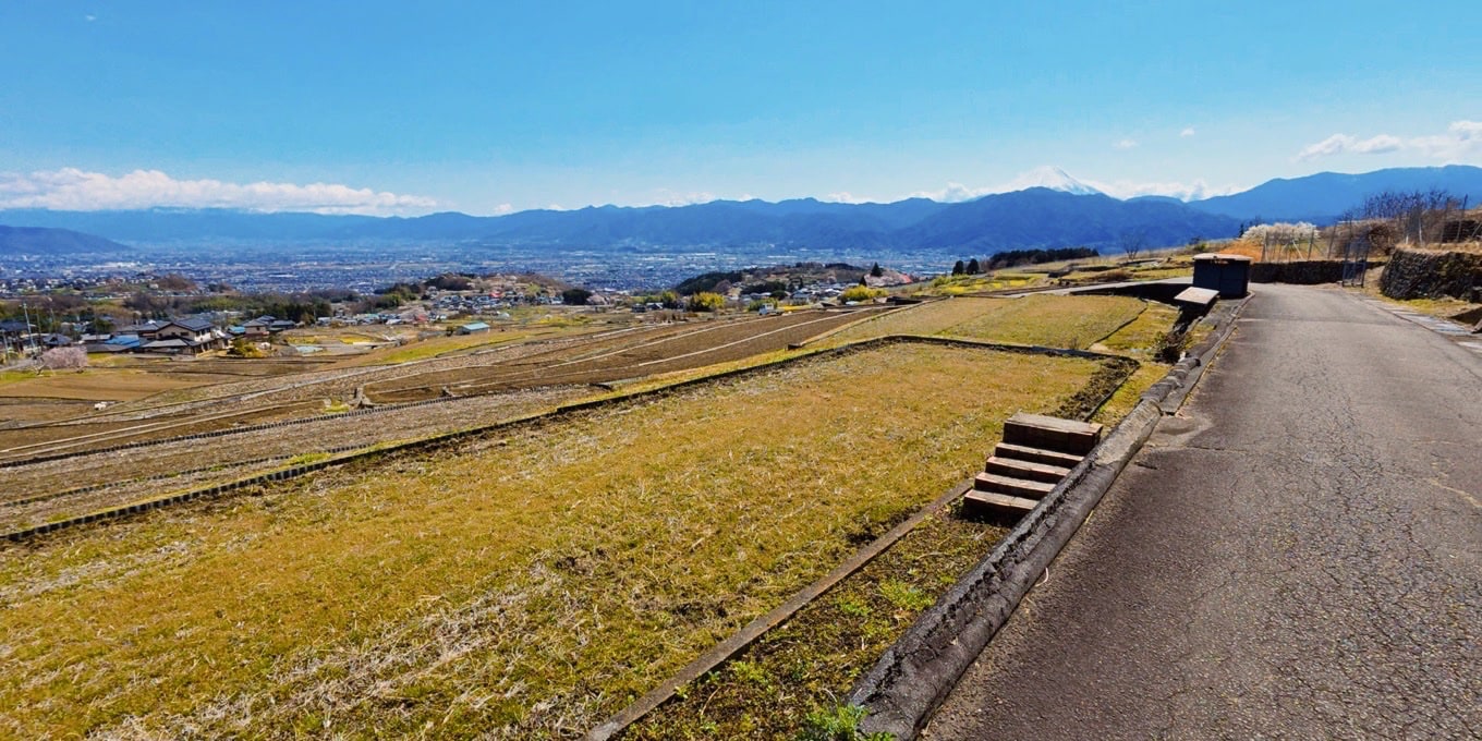 中野の棚田