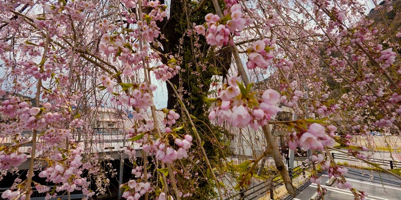 興禅寺