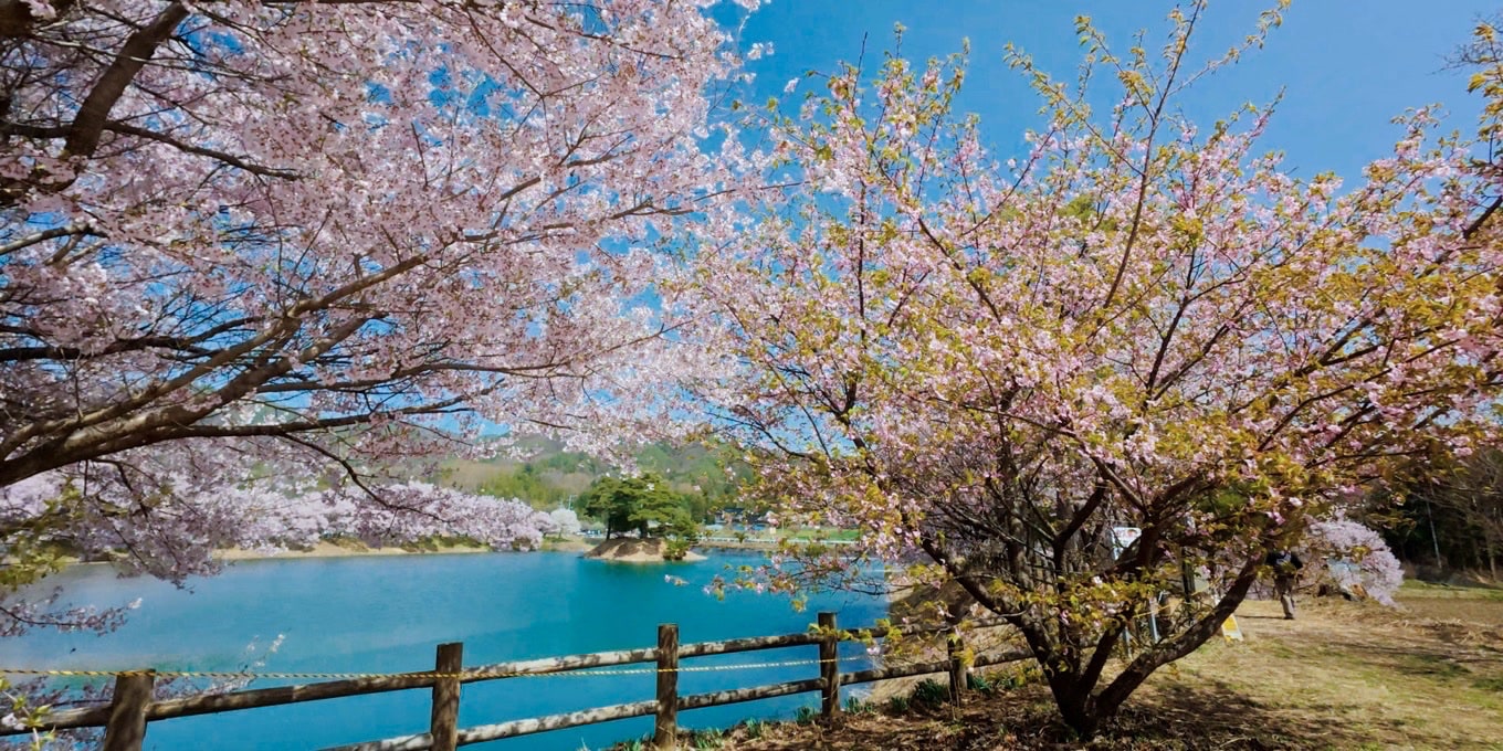 六道の堤