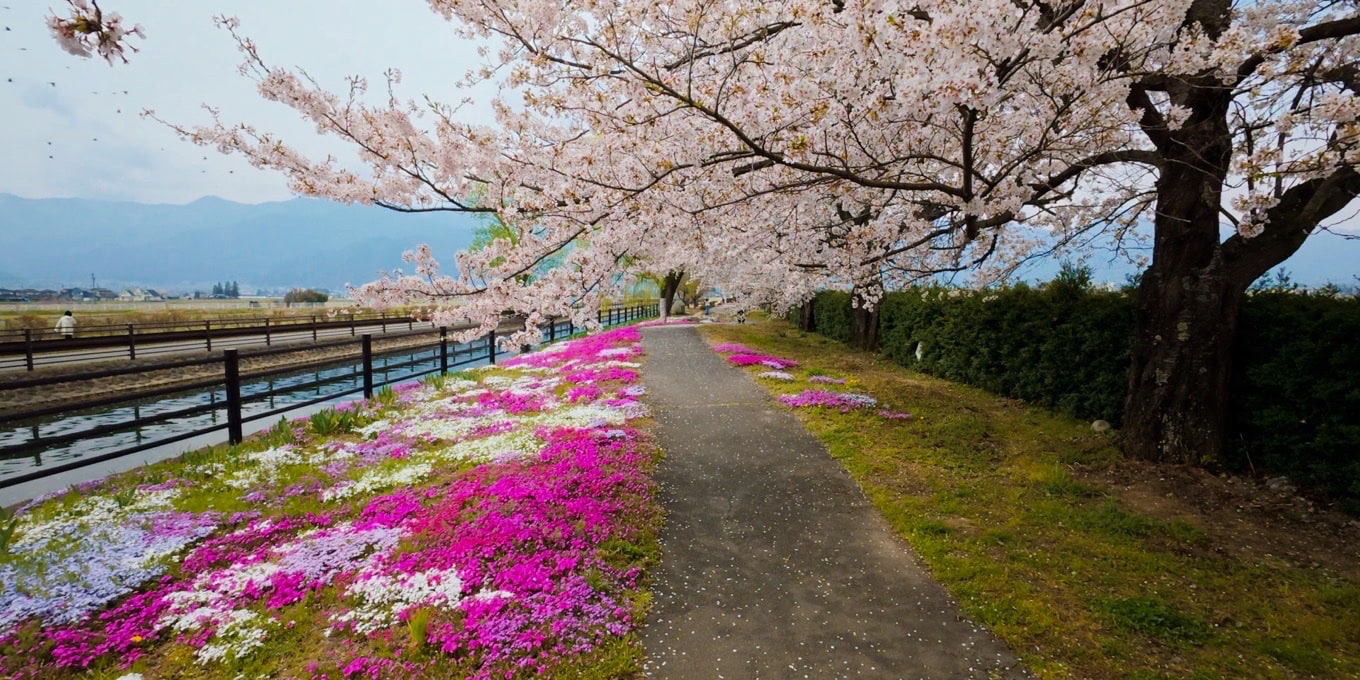 拾ヶ堰