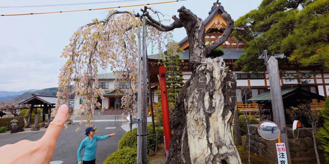 寿量院
