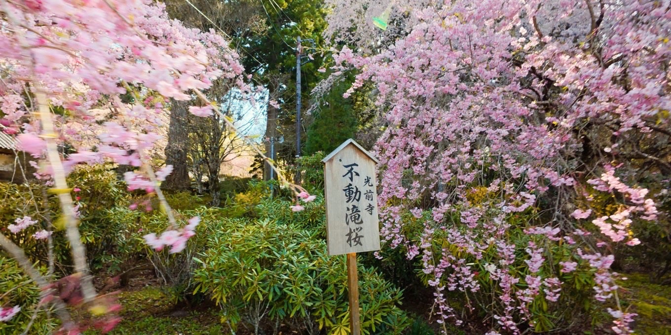 光前寺