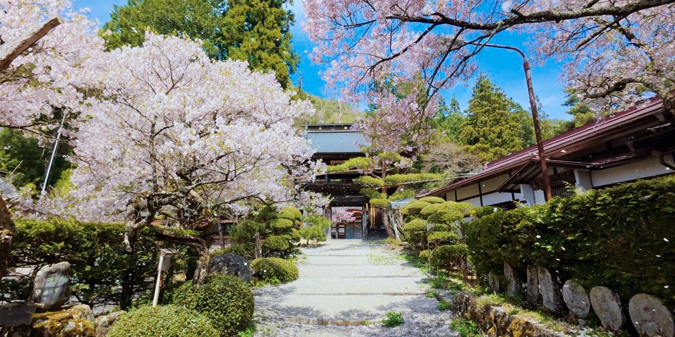 徳音寺