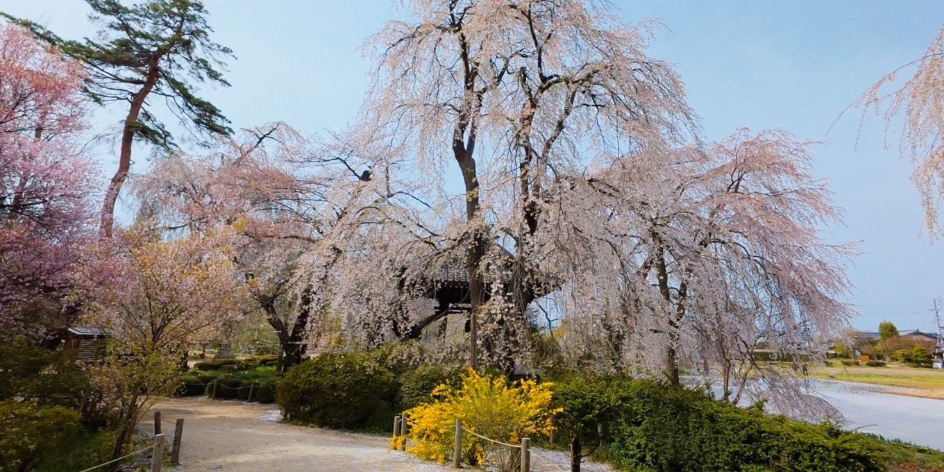 安養寺