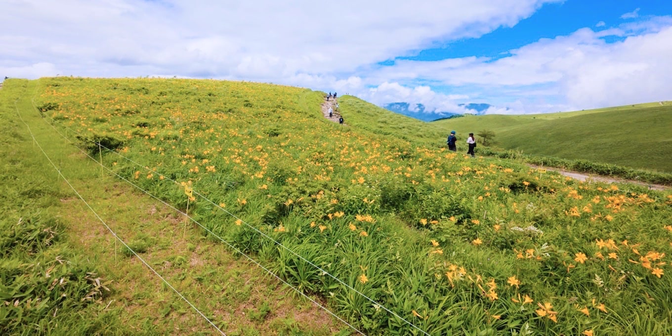 霧ヶ峰