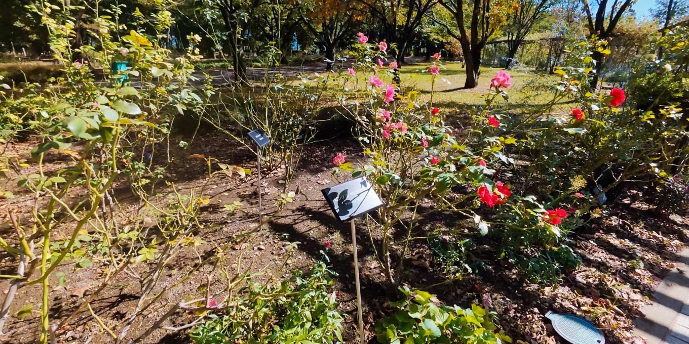 信州スカイパーク