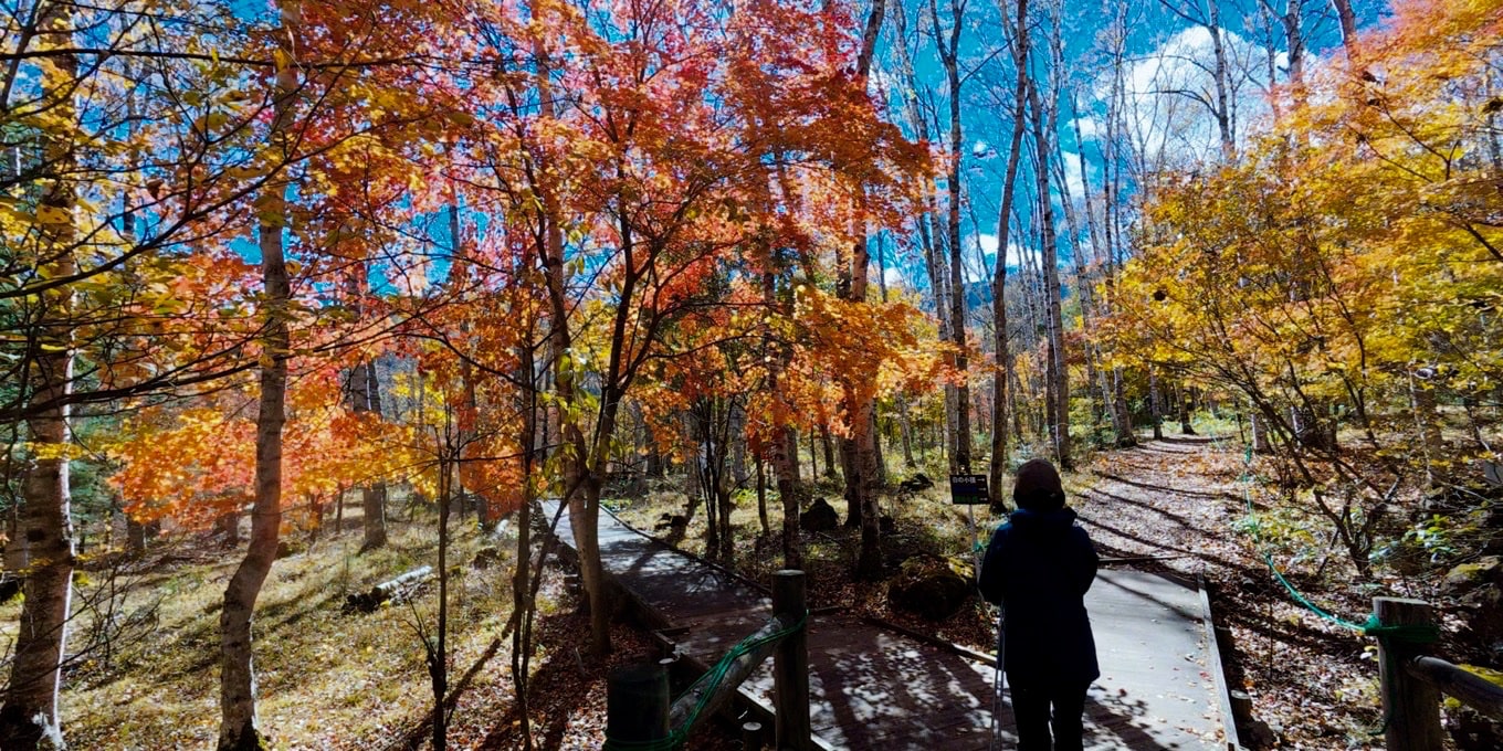 八千穂高原自然園